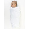 Ultimate Swaddle, Burpie and Lovie Newborn Gift Set - Pastel Blue